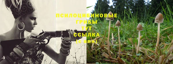 эйфоретик Переславль-Залесский