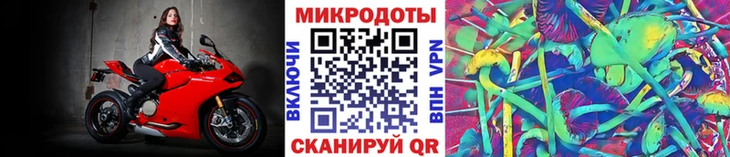 Купить  Туринск  Псилоцибиновые грибы Magic Shrooms 